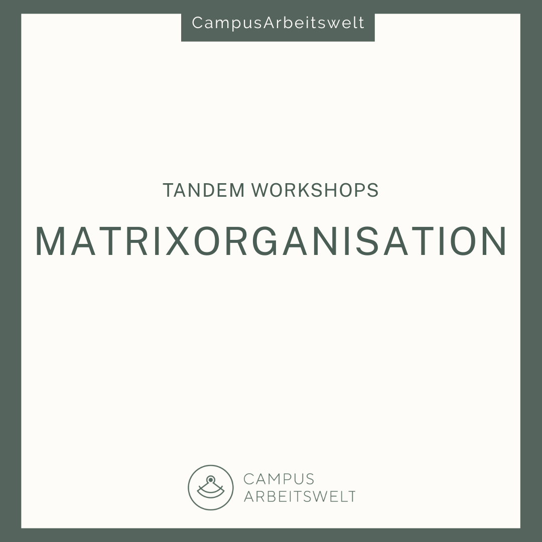 Matrixorganisationen