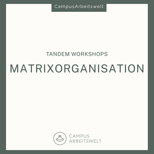 Matrixorganisationen