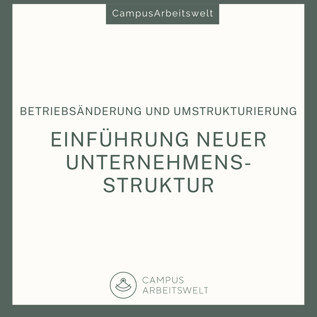 Einführung digitaler Unternehmensstrukturen