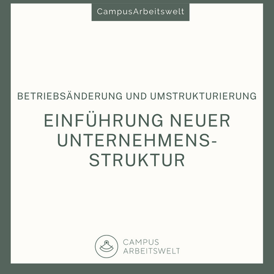 Einführung digitaler Unternehmensstrukturen
