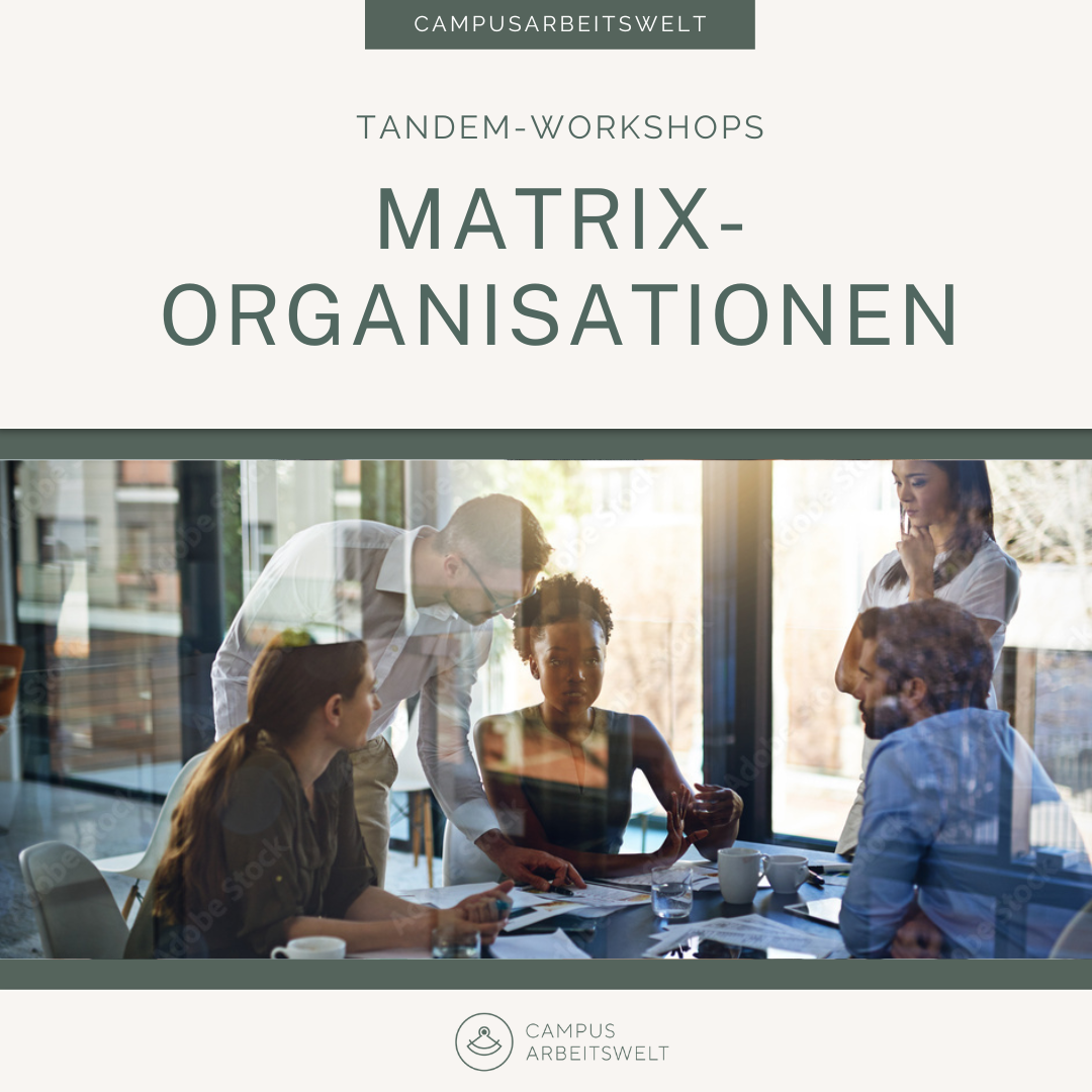 Matrixorganisationen