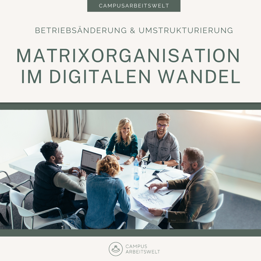 Matrixorganisation in der digitalen Transformationspraxis