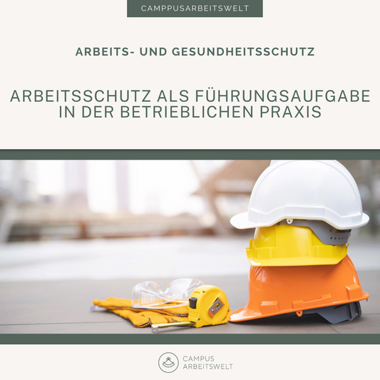 Arbeitsschutz als Führungsaufgabe in der betrieblichen Praxis