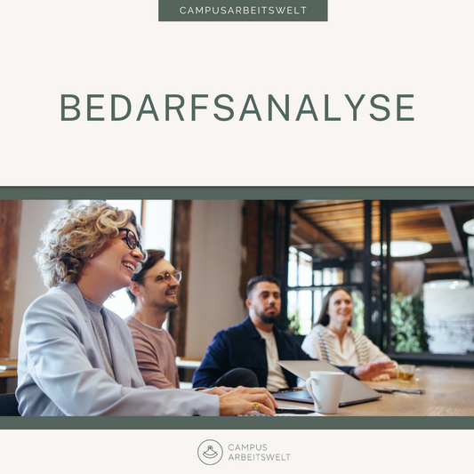 Bedarfsanalyse