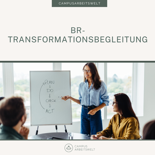 BR-Transformationsbegleitung
